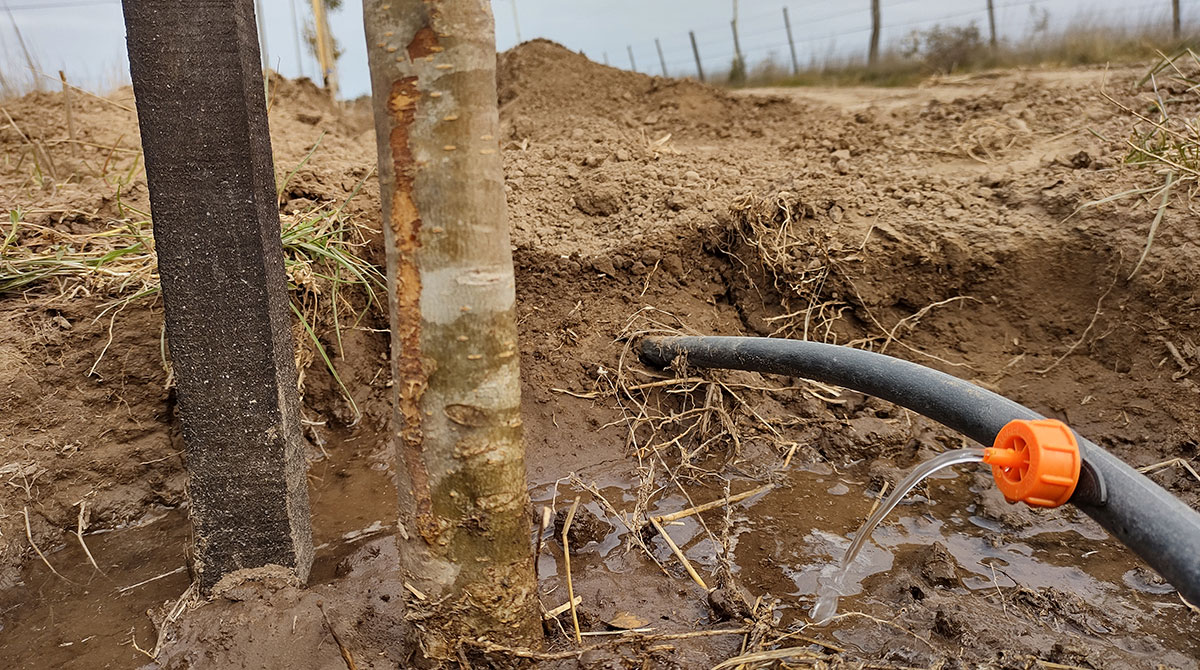 Nuevo Reservorio de Agua Cruda